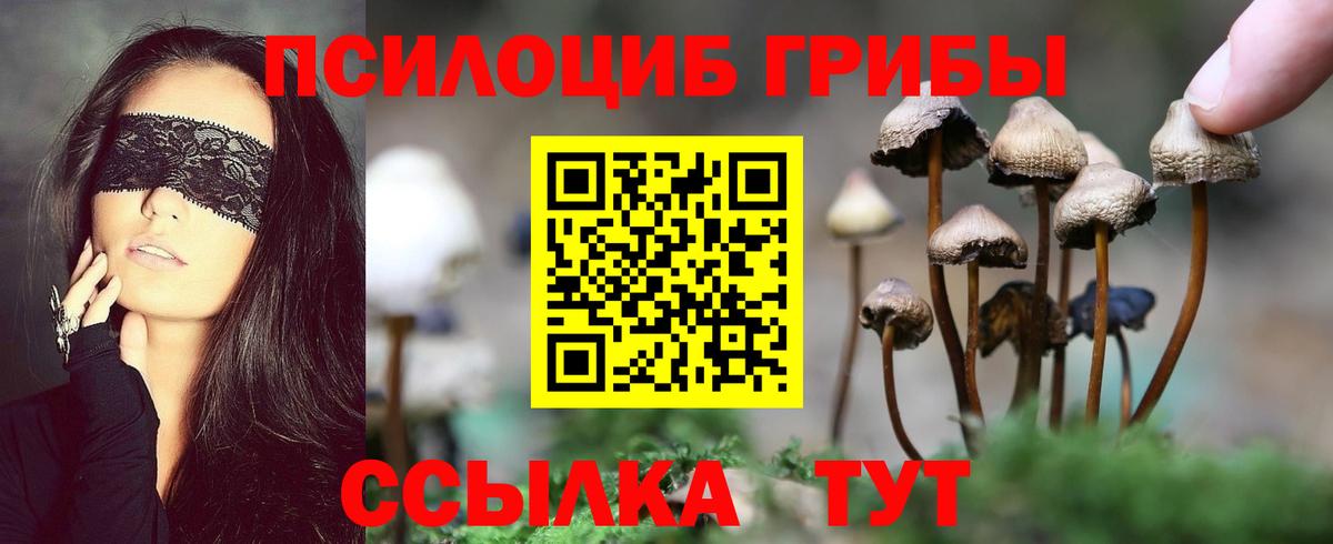 Галлюциногенные грибы Psilocybe  Галлюциногенные грибы GOLDEN TEACHER  Вход с VPN  Кострома 