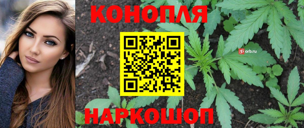Шишки марихуана OG Kush Кострома